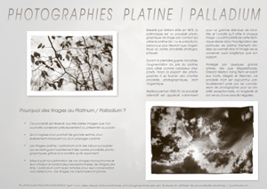 photographic-platinum-palladium-printing-services