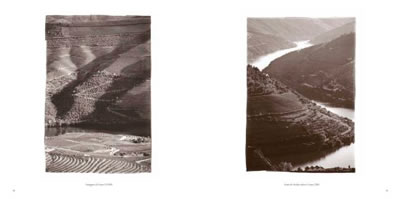 a rota do vinho do porto