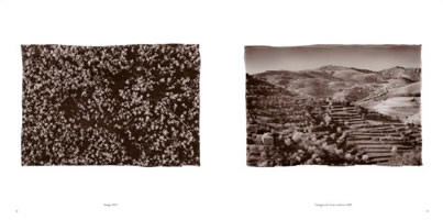 rota do vinho do porto