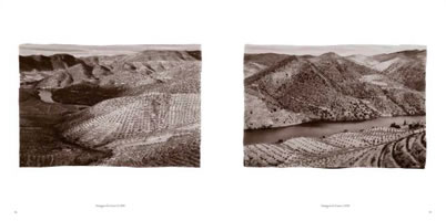 la route du vin de porto