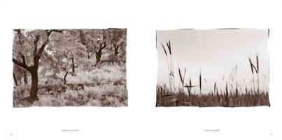 la route du vin de porto