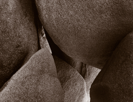 Gros Nez à Ploumanach