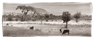 Addis Countryside, Ethiopia, 2004 | platinum / palladium print, 14 x 11 in, 2008