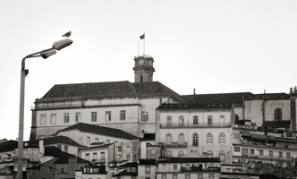 Coimbra-Coimbra, 2008