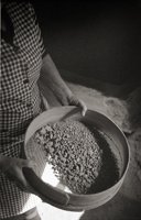 Bisalhães Black Clay #6, 2010