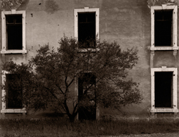 Arbre devant porte, Jausiers-Tournoux, France, 2002