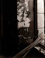 Tiges de bois, Jausiers-Tournoux, France, 2002