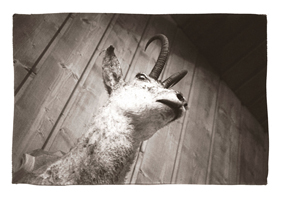 Trophée, France, 2005