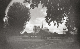 Two Views of Paris #5, 2011