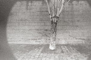 Two Views of Paris #13, 2011