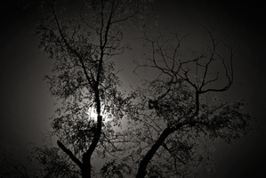 Sketches of Spain #16, 2011