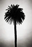 Sketches of Spain #17, 2011