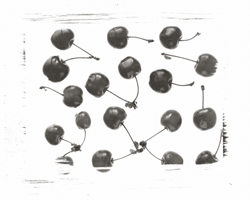 Still Lifes - Op. 2 #2