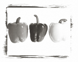 Still Lifes - Op. 2 #5