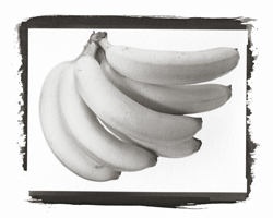 Still Lifes - Op. 2 #7