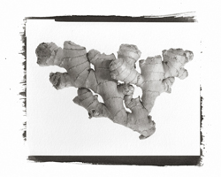 Still Lifes - Op. 2 #8