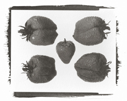 Still Lifes - Op. 2 #9