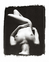 Still Lifes - Op. 3 #1