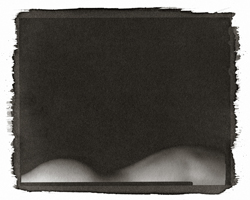 Still Lifes - Op. 3 #8