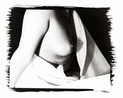 Still Lifes - Op. 3 #9