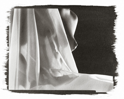 Still Lifes - Op. 3 #10