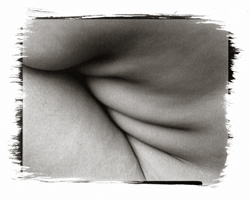 Still Lifes - Op. 3 #14