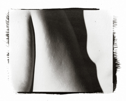 Still Lifes - Op. 3 #15