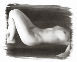 Still Lifes - Op. 3 #20