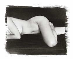 Still Lifes - Op. 3 #22