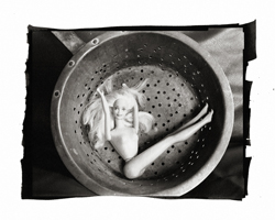 Still Lifes - Op. 4 #1