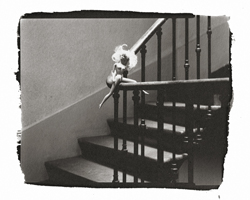 Still Lifes - Op. 4 #2