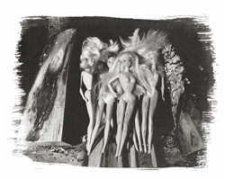 Still Lifes - Op. 4 #19