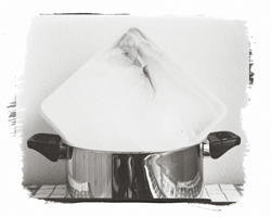 Still Lifes - Op. 4 #20