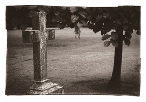 Arbre et croix, Cimetière des Rois, Genève, 2004