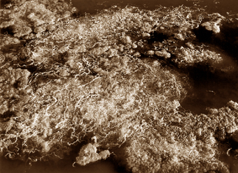 Algues, Bretagne, France - 2002