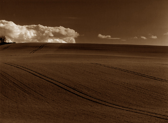 Champs d'hiver n°3, Bourgogne, France - 2002