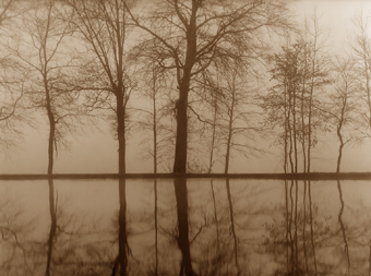 Etang et brouillard, Bourgogne, France - 2002