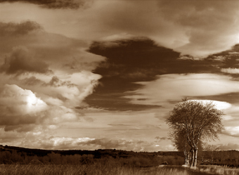 Paysage, Languedoc-Roussillon, France - 2003