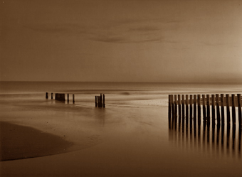 Lemmings, Languedoc-Roussillon, France - 2003
