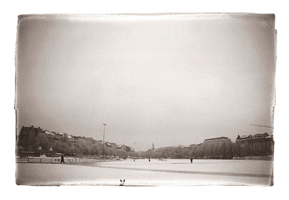 Chien sur la Plaine de Plainpalais, Genève, 2004