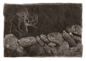 Muro de pedra, Peneda-Gerês, 2008