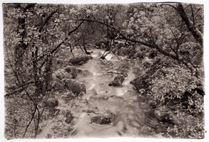 Riacho, Peneda-Gerês, 2008