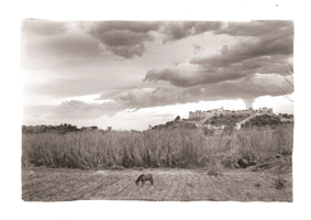 Paisagem de Montemor, 2008