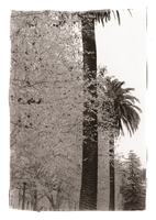 Avenida da República, Coimbra, 2008