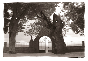 Cemitério, Montalegre, 2008