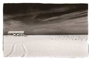 Fruta ou chocolate, Figueira, 2006