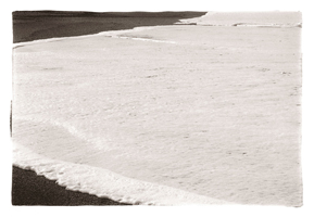 Espuma, Figueira, 2006