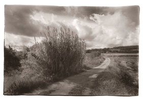 Campo, Montemor, 2006