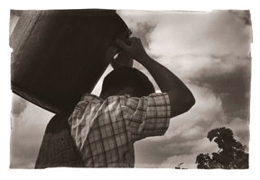 Vindimas no Douro IV, 2008