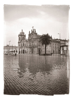 Igreja e palmeira, Porto, 2008
